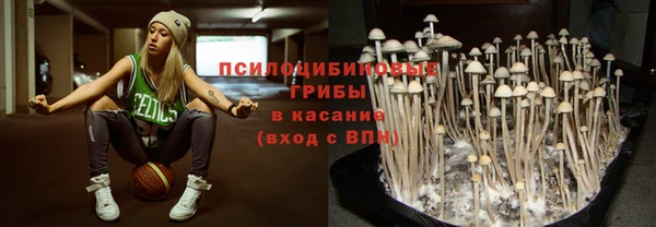 первитин Богданович