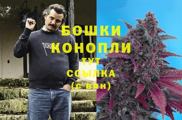 первитин Богданович