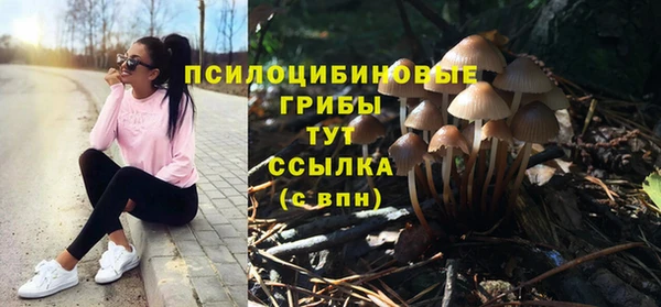 кокаин колумбия Богородицк