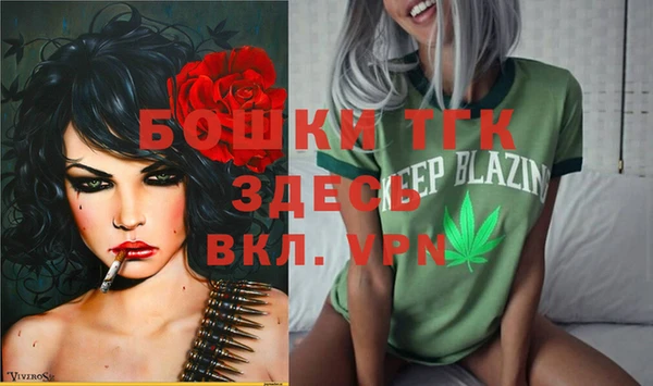 первитин Богданович